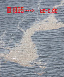 :)   Pretty? YES!  :)