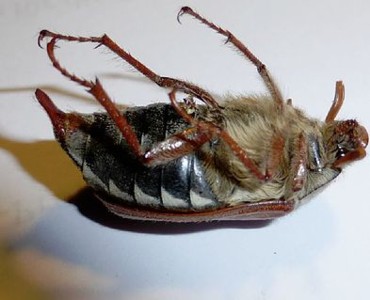 :)   ALLE besoffen !  :)